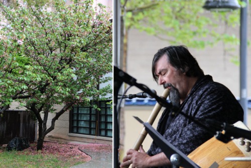 (L to R) Cherry Blossoms in the garden of Salt Lake's Buddhist Temple; David Sharp on stage at Nihon Matsuri.